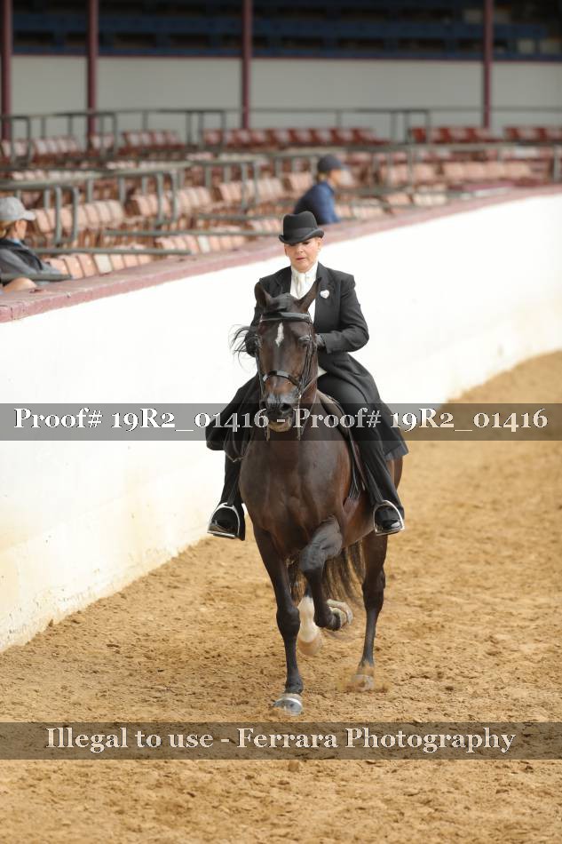 Proof 19R2_01416