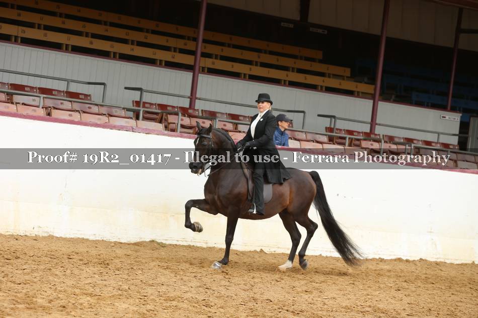 Proof 19R2_01417