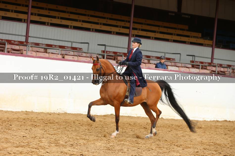 Proof 19R2_01421