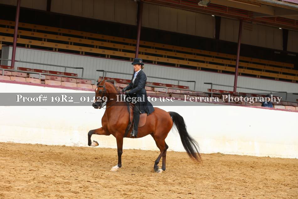 Proof 19R2_01429