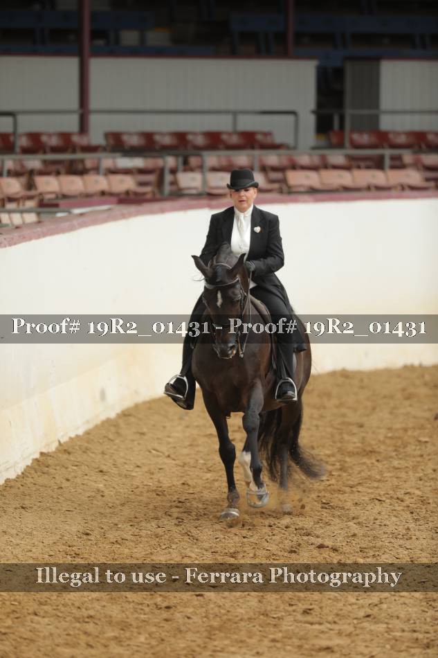 Proof 19R2_01431