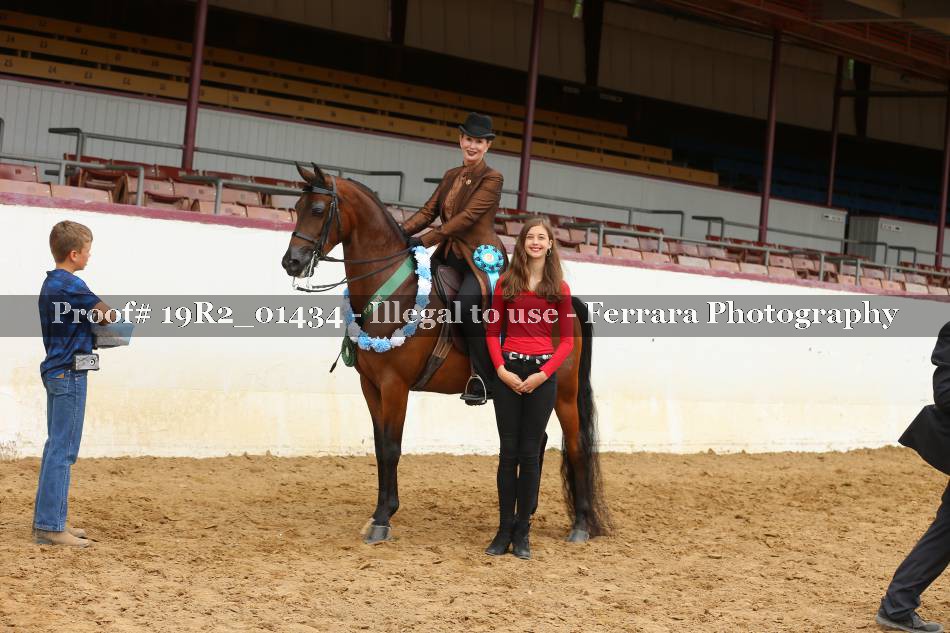 Proof 19R2_01434