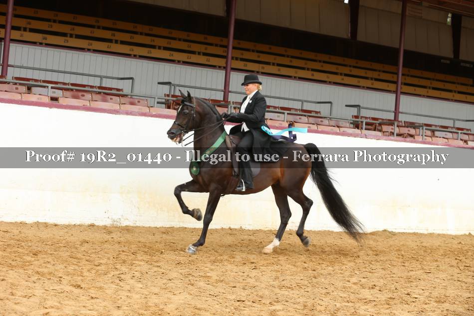 Proof 19R2_01440