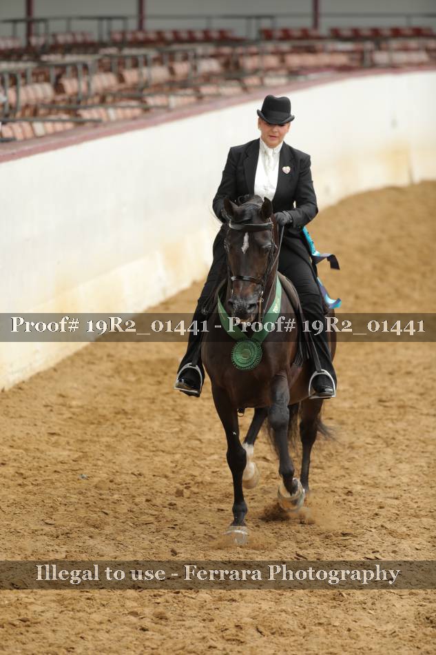 Proof 19R2_01441