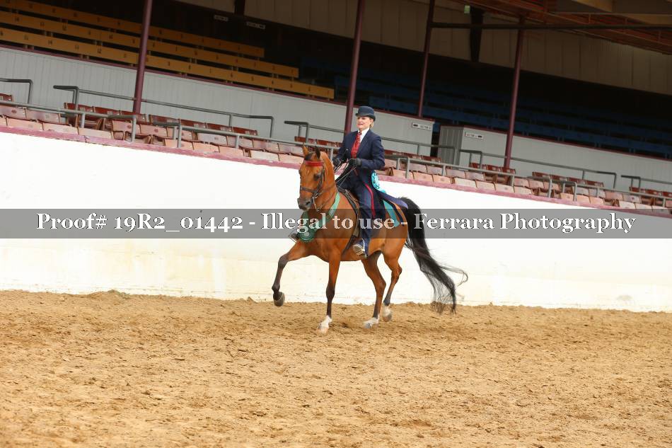 Proof 19R2_01442
