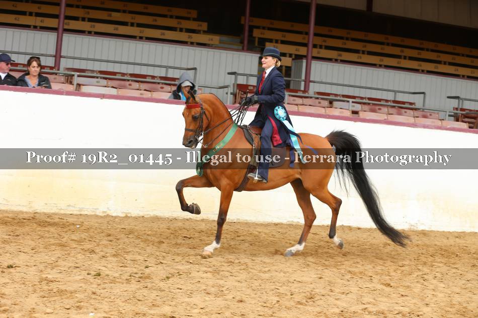 Proof 19R2_01445