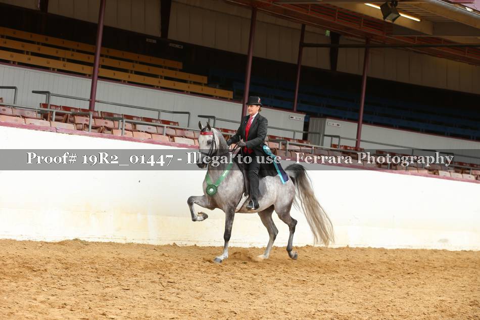 Proof 19R2_01447