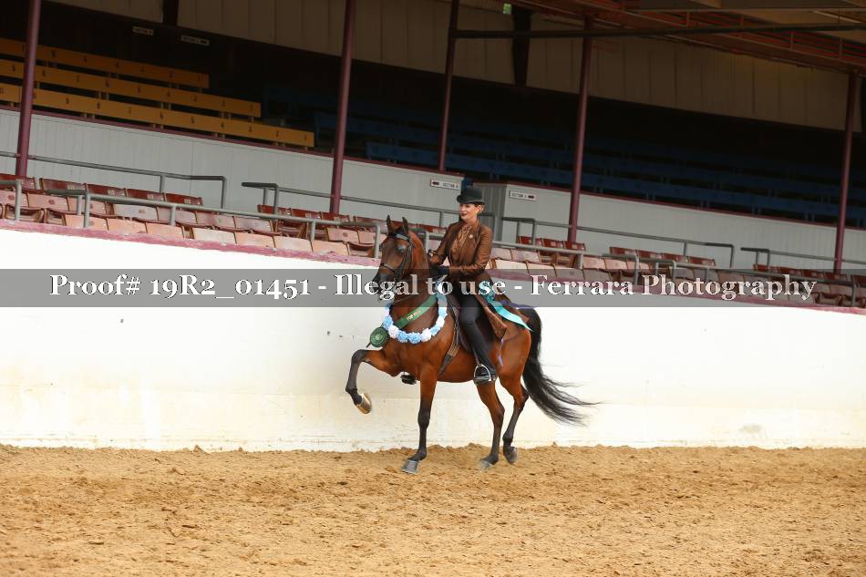 Proof 19R2_01451