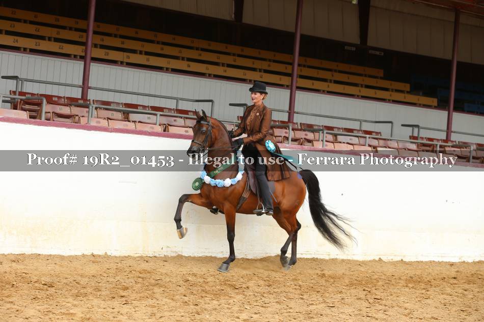 Proof 19R2_01453