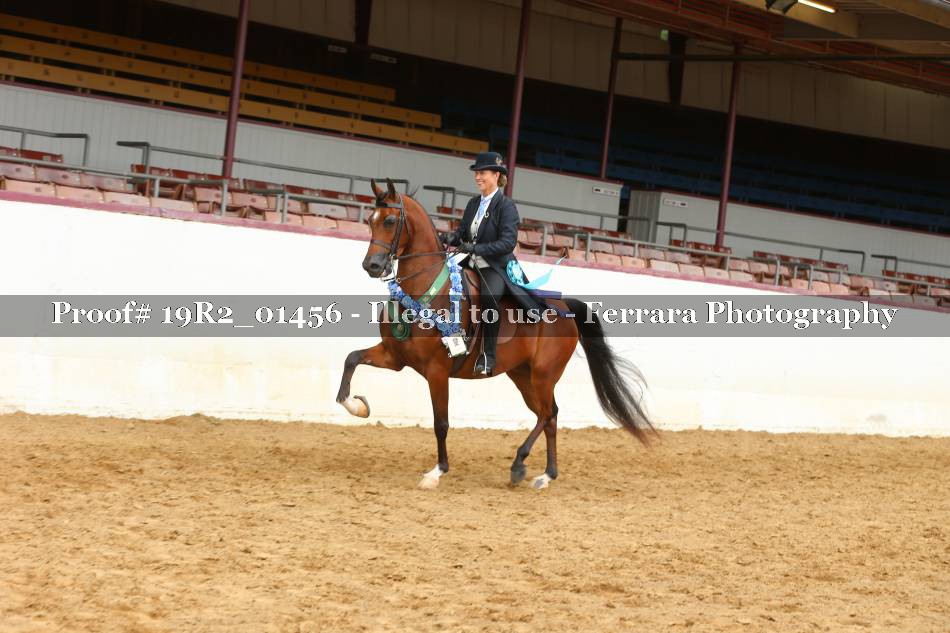 Proof 19R2_01456