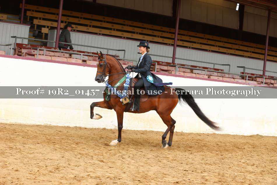 Proof 19R2_01457