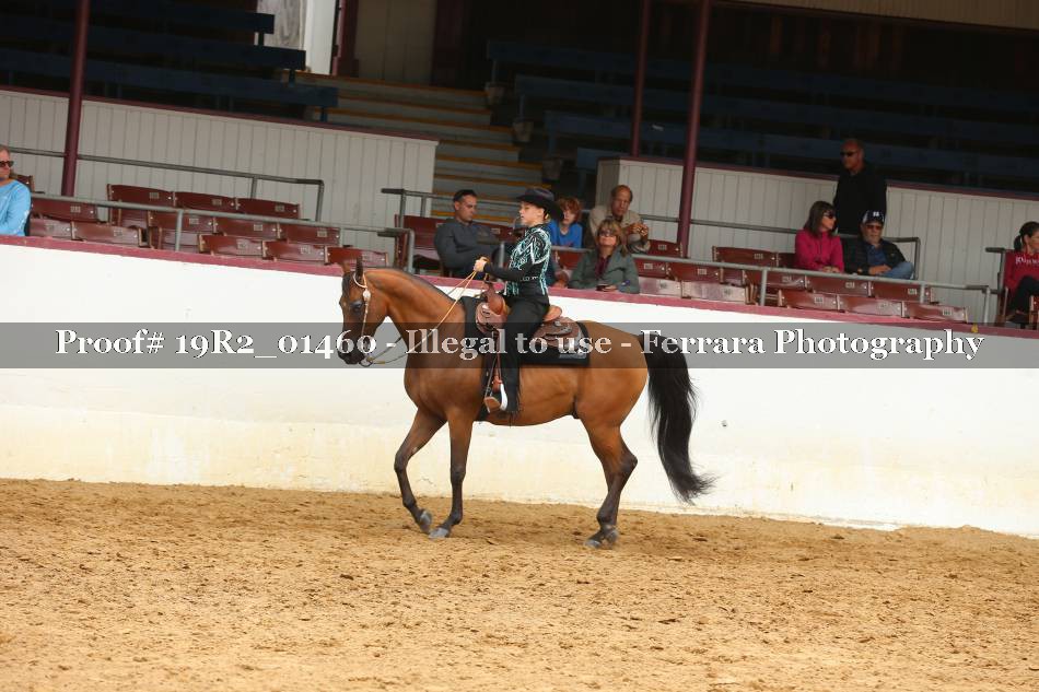 Proof 19R2_01460