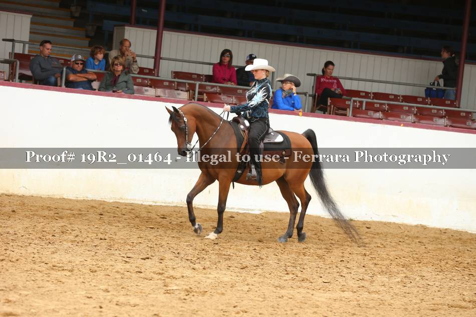 Proof 19R2_01464