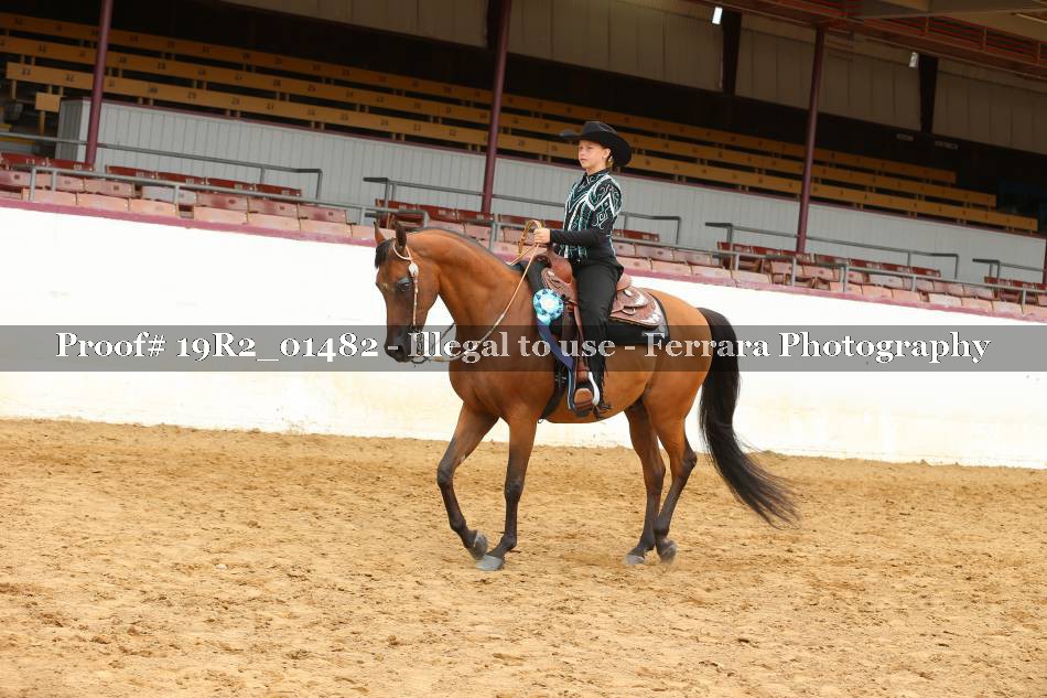 Proof 19R2_01482