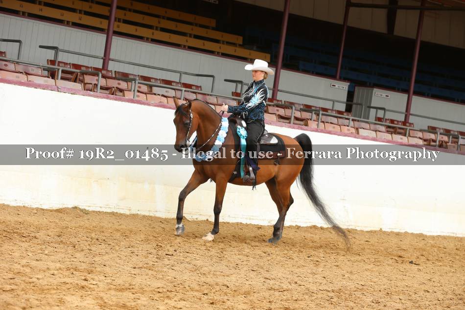 Proof 19R2_01485