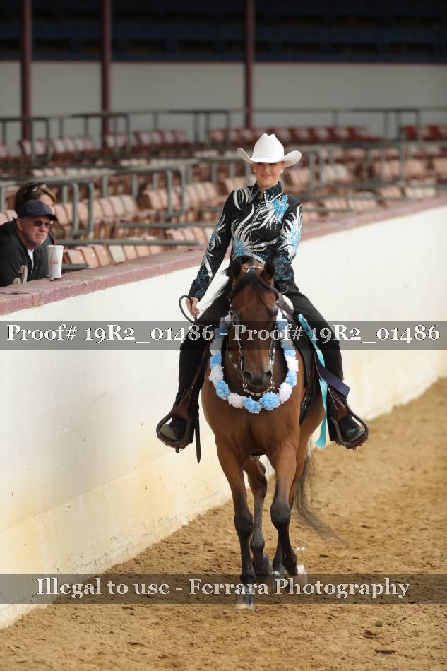 Proof 19R2_01486