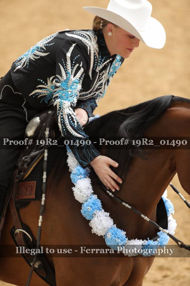 Proof 19R2_01490