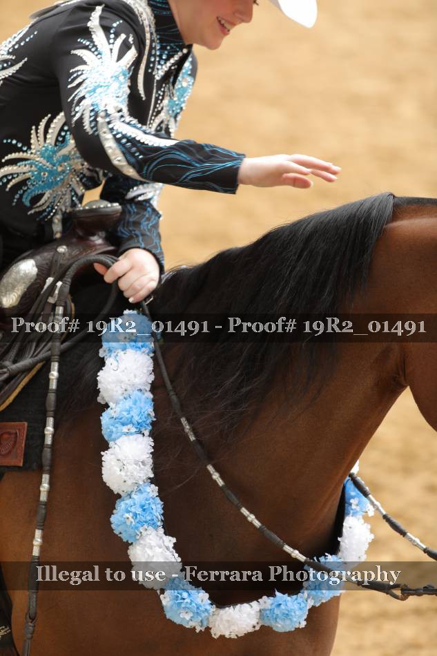Proof 19R2_01491