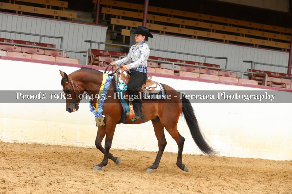Proof 19R2_01495