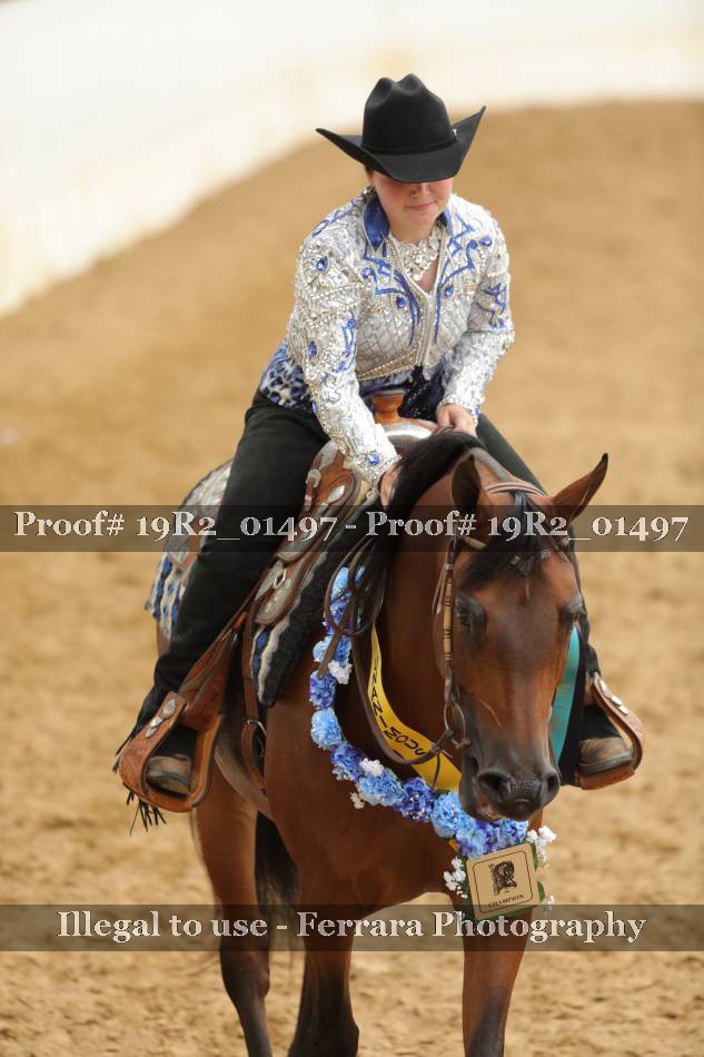 Proof 19R2_01497
