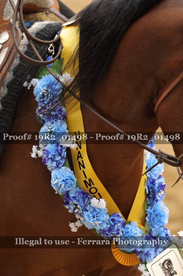 Proof 19R2_01498