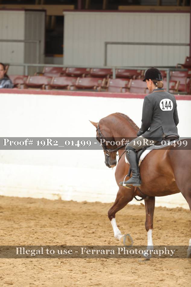 Proof 19R2_01499