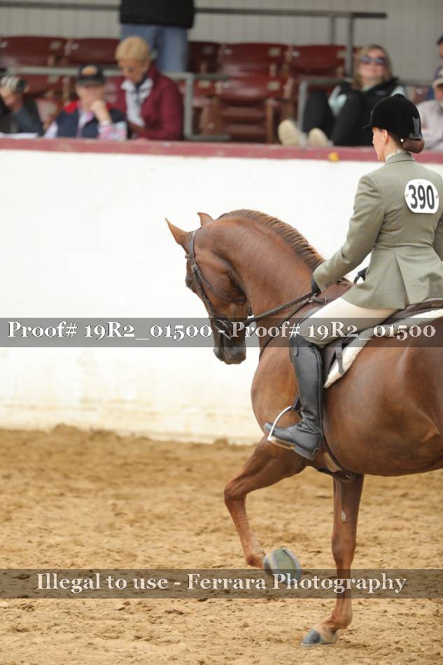 Proof 19R2_01500