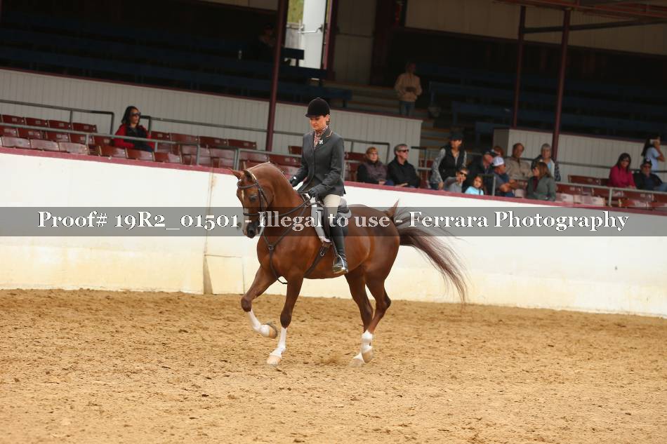 Proof 19R2_01501