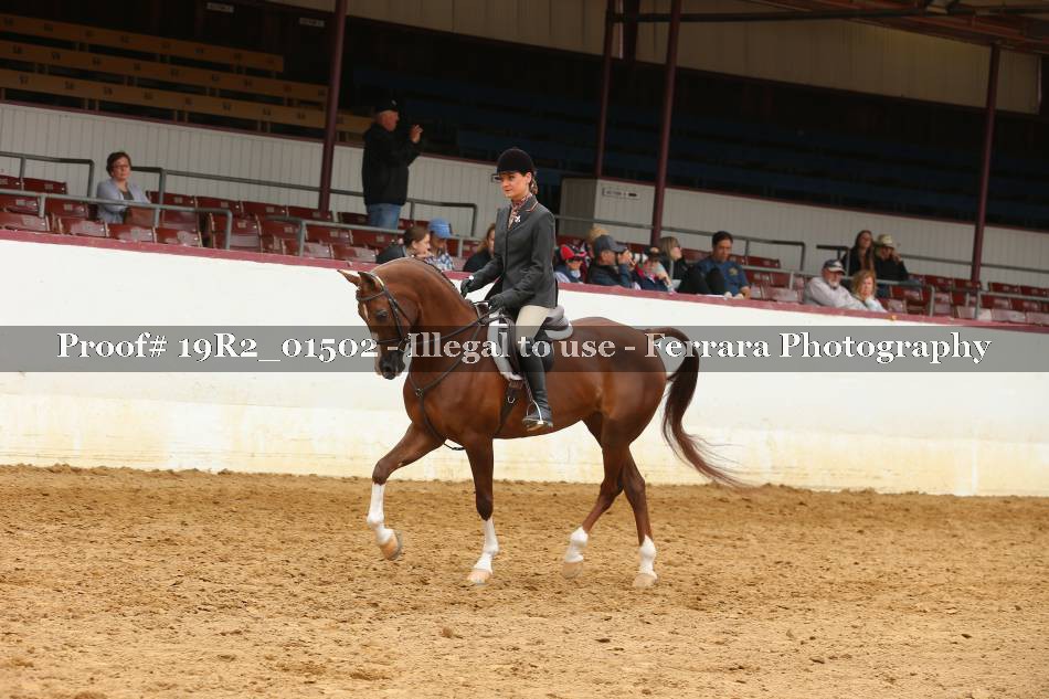 Proof 19R2_01502