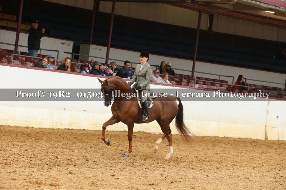 Proof 19R2_01503