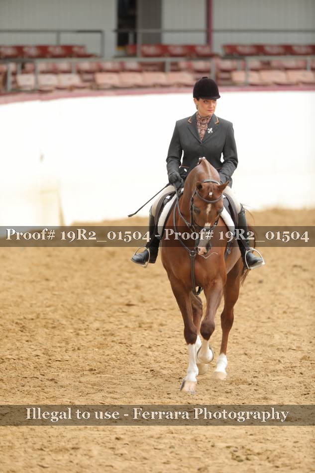 Proof 19R2_01504