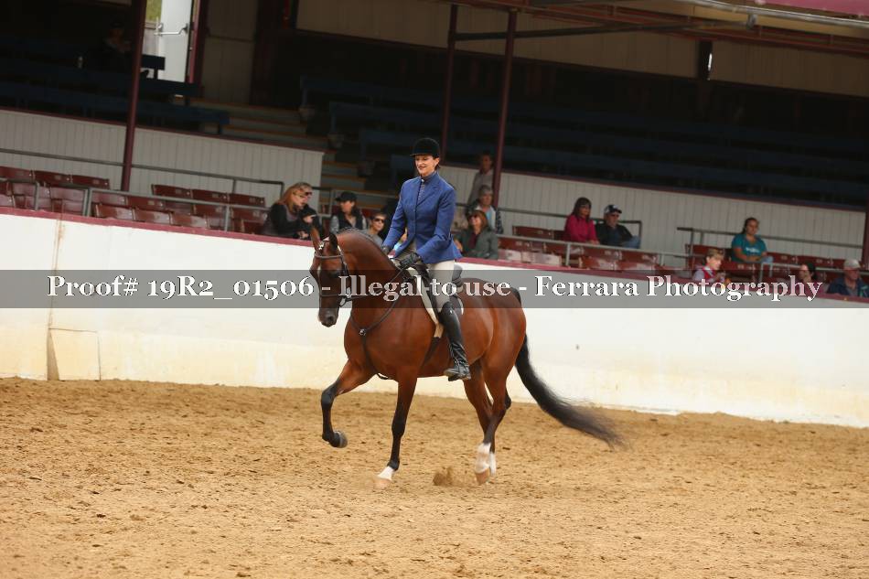 Proof 19R2_01506