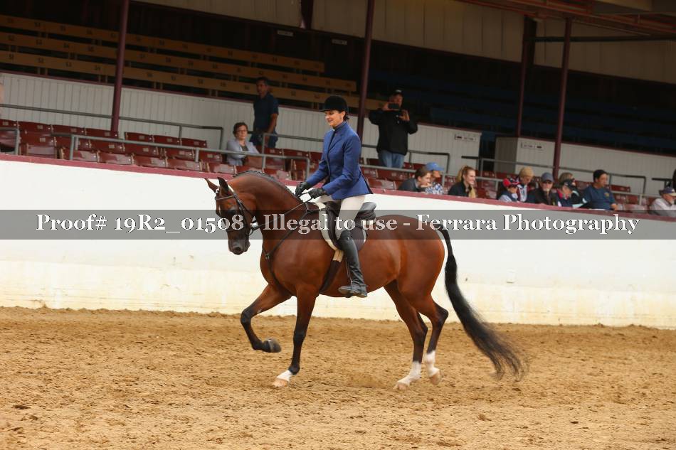 Proof 19R2_01508