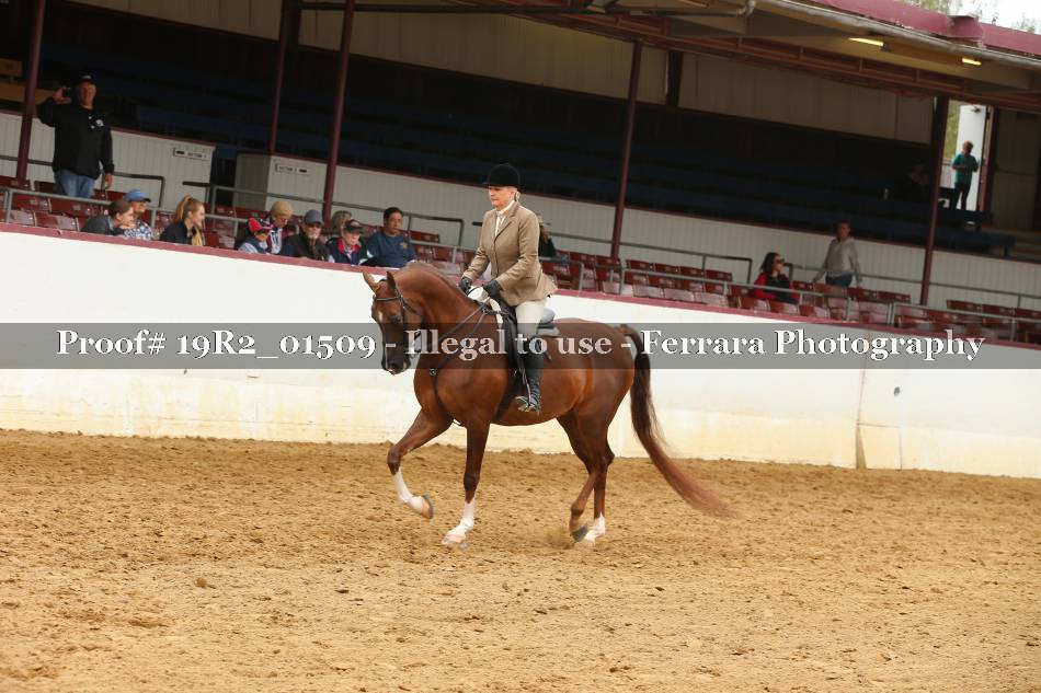 Proof 19R2_01509