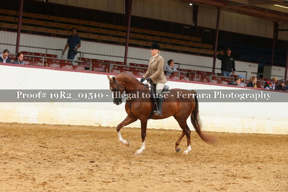 Proof 19R2_01510