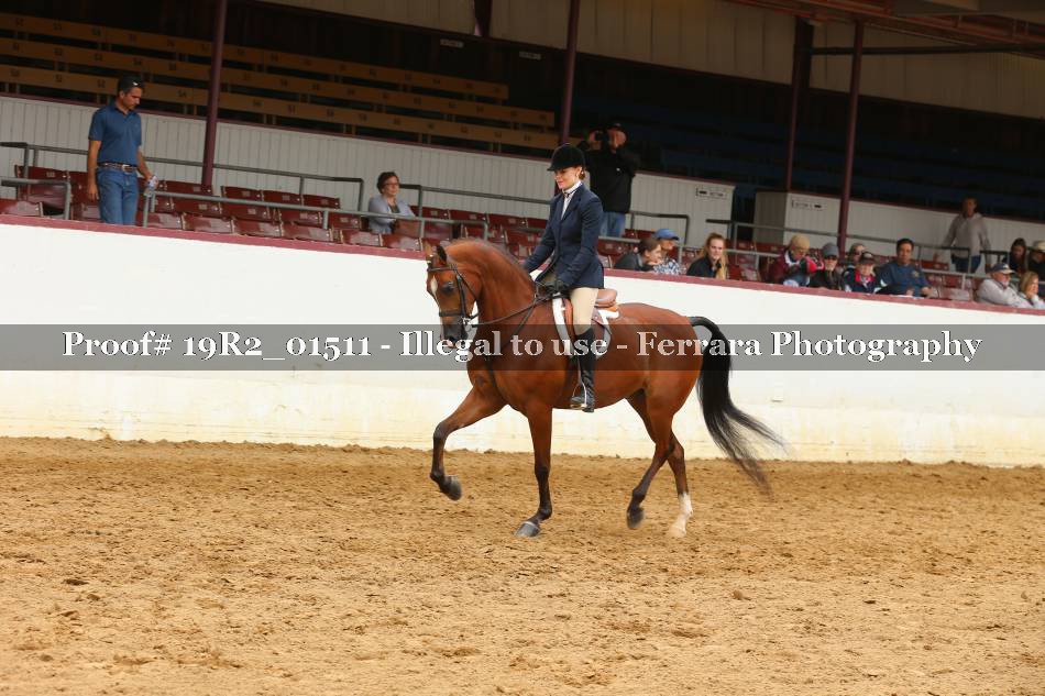 Proof 19R2_01511