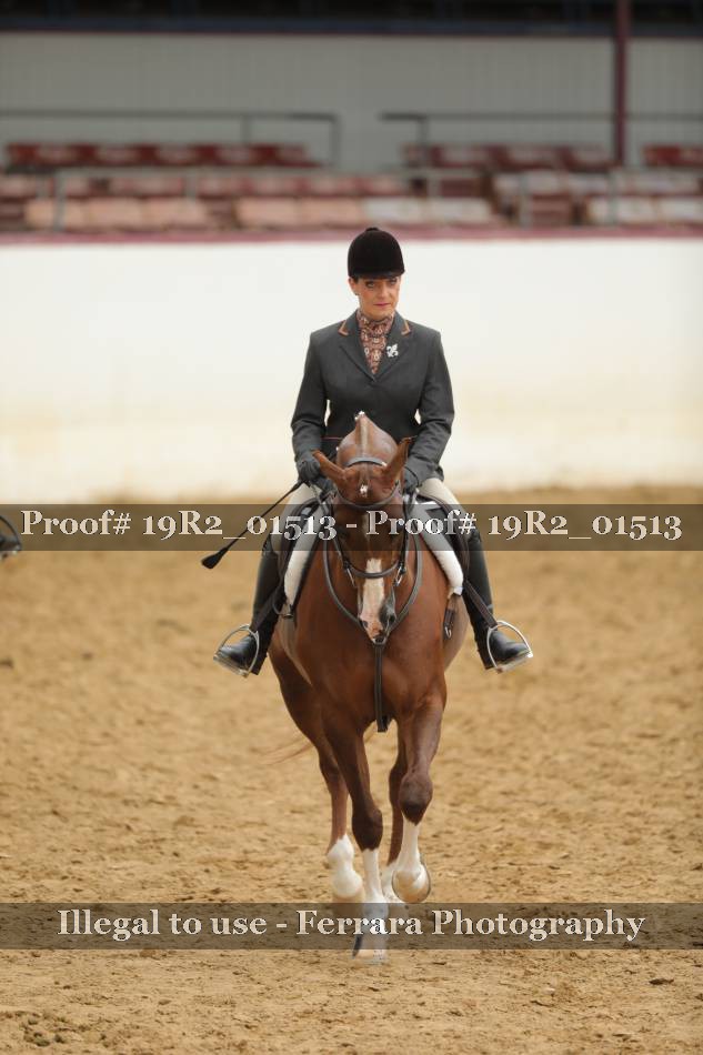 Proof 19R2_01513