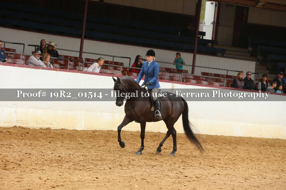 Proof 19R2_01514