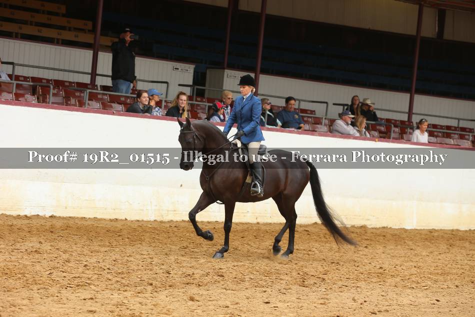 Proof 19R2_01515