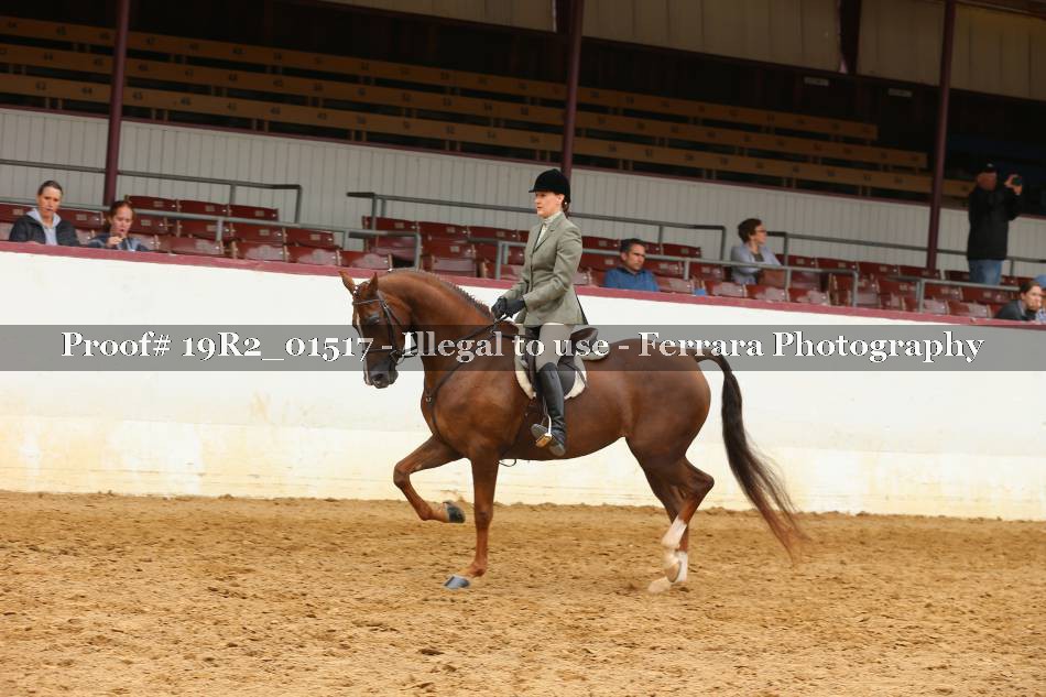 Proof 19R2_01517