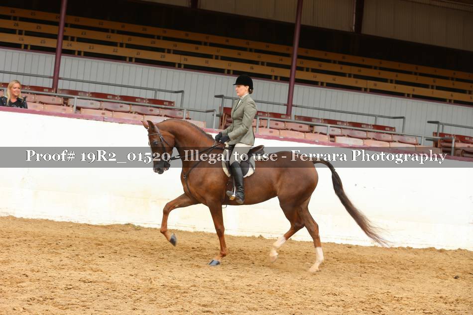 Proof 19R2_01520