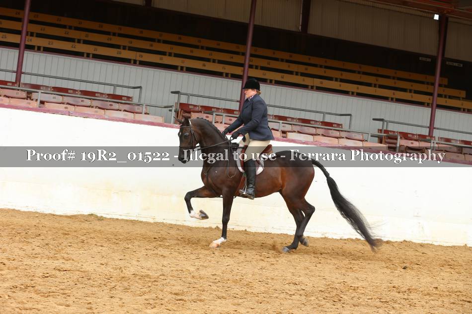 Proof 19R2_01522