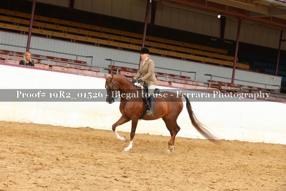 Proof 19R2_01526