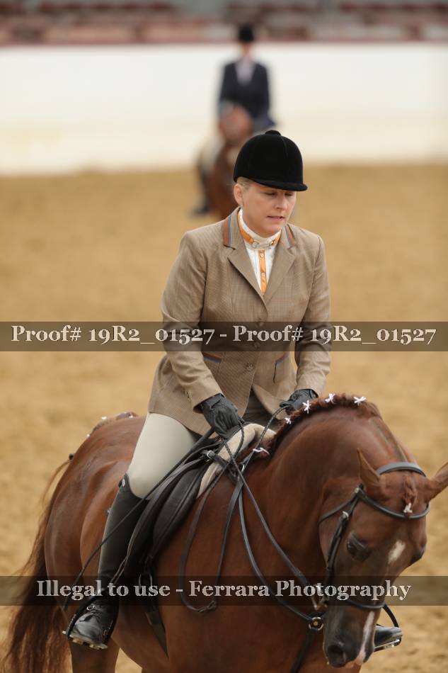 Proof 19R2_01527