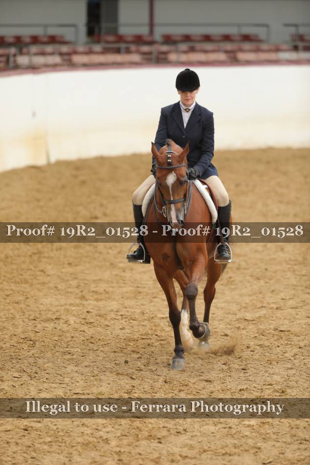 Proof 19R2_01528