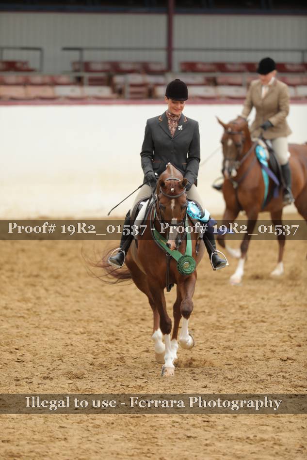 Proof 19R2_01537