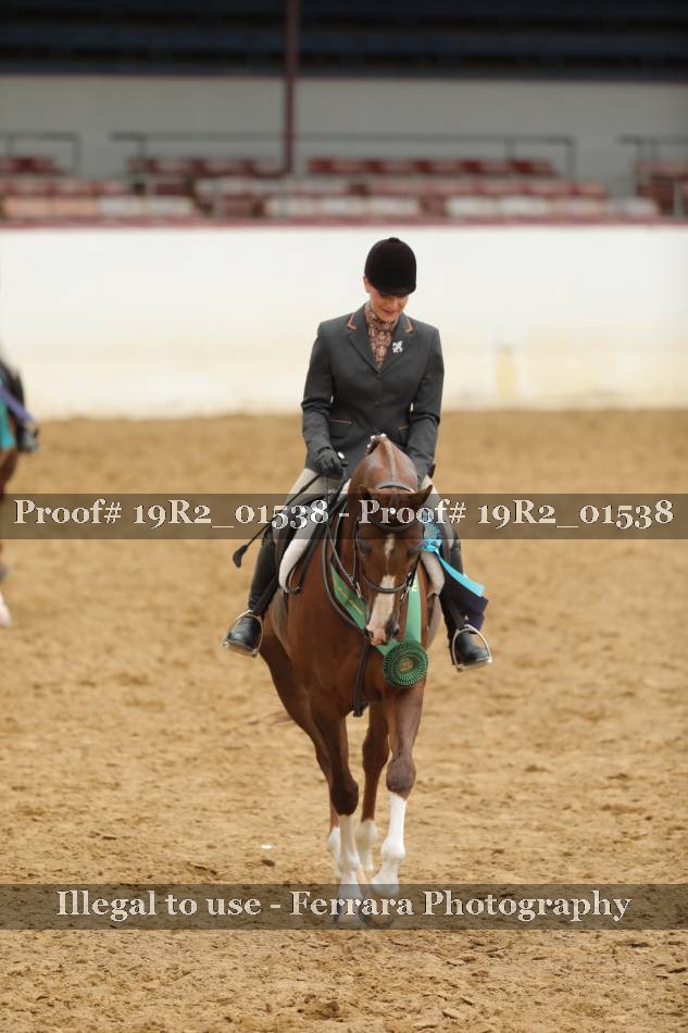Proof 19R2_01538