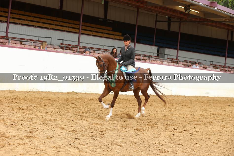 Proof 19R2_01539