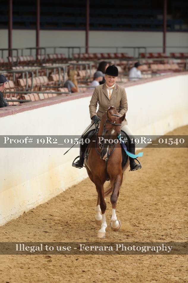 Proof 19R2_01540