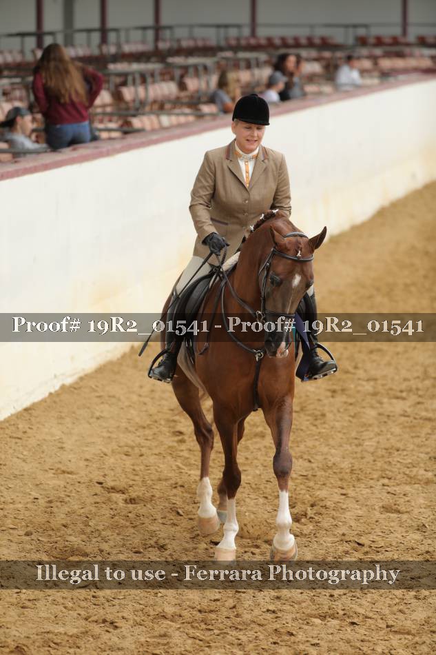 Proof 19R2_01541